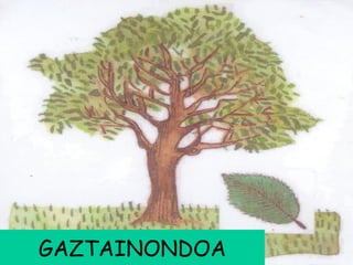 GAZTAINONDOA