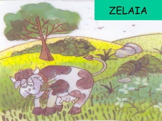ZELAIA