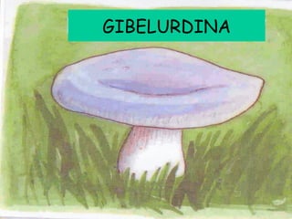 GIBELURDINA