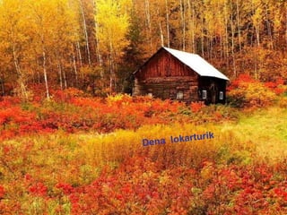 Dena lokarturik
 