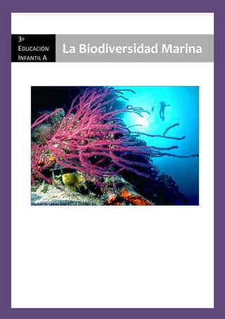 3º
EDUCACIÓN    La Biodiversidad Marina
INFANTIL A
 