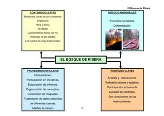 El Bosque de Ribera
     CONTENIDOS CLAVES                                        RIESGOS AMBIENTALES
Elementos claves de un ecosistema.
            Vegetación.                                        Incendios forestales.
           Flora y fauna.                                         Deforestación.
             El hábitat.
   Características físicas del río.
     Utilidades de las plantas.
 Los huertos de vega tradicionales.




                                      EL BOSQUE DE RIBERA


   PROCEDIMIENTOS CLAVES                                        ACTITUDES CLAVES
         Comunicación.
                                                              Análisis y valoraciones.
  Participación en iniciativas.
                                                            Reflexión sincera y objetiva.
   Elaboración de informes.
                                                             Participación activa en la
 Organización de conceptos.
                                                               solución de conflictos.
   Confección de maquetas.
                                                              Ser conscientes de las
Tratamiento de datos obtenidos
                                                                  repercusiones.
     de diferentes fuentes.
       Salidas de campo.                       10
 