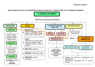 El Bosque de Ribera



   MAPA CONCEPTUAL DE LOS CONTENIDOS CONCEPTUALES DEL LA UNIDAD DIDÁCTICA “El BOSQUE DE RIBERA”

                                            EL BOSQUE DE RIBERA


                                        Elementos claves de este ecosistema



VEGETACIÓN             FAUNA                              LA IMPORTANCIA DEL          USOS DEL SUELO
                                                               AGUA: RÍO
    ÁRBOLES            MAMÍFEROS:
                       Zorros, comadrejas, tejones,                                      Huertos de vega
                       jabalís, nutrias, gato montés,                                     tradicionales
                                                          COLOR         ANCHURA
 Olmos, sauces,        ratón común, conejo, erizo.
 chopos, fresnos,
 abedules, alisos,                                                                       Afecta             PROBLEMAS
  álamos, taray.       AVES:                                  TEMPERATURA                                  AMBIENTALES
                       Paloma torcaz, perdiz, águila
                       real, búho, cavilan, milano,
   ARBUSTOS
                       tórtolas, lavanderas, martines,
                       ruiseñor.
                                                                                  DEFORESTACIÓN             INCENDIOS
 Juncos, carrizos,
                       REPTILES: Lagartijas.                                                               FORESTALES
   espadañas,                                                   Determina la
  zarzas, serbal                                              VEGETACIÓN Y
   del cazador.        ANFIBIOS: Salamandra, sapo.                 FAUNA
                                                              del BOSQUE DE
                                                                  RIBERA.
    PLANTAS
                       INSECTOS: moscas,                                          -Medidas de corrección y preservación de
                       mosquitos.                                                 desequilibrios.
Trepadoras: lianas y                                                              -Alteraciones producidas por la acción
     bejucos.                                            11                       humana.
    Utilidades.
 