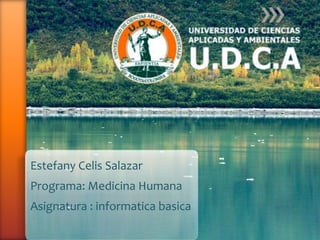 Estefany Celis Salazar
Programa: Medicina Humana
Asignatura : informatica basica
 