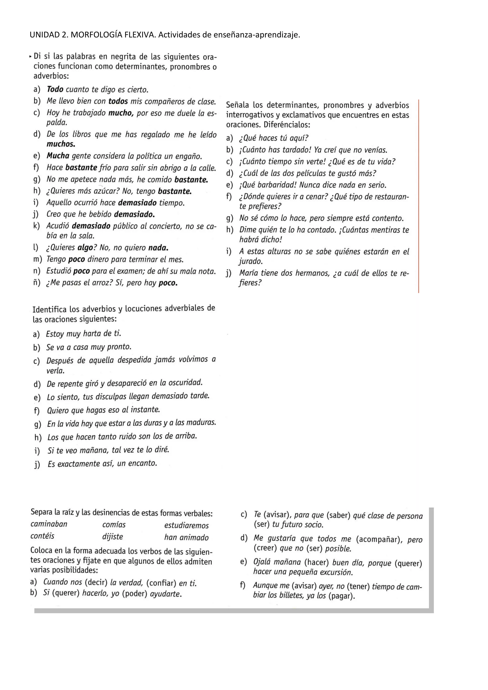 TEMA 2.Morfología flexiva. Actividades de enseñanza aprendizaje | PDF