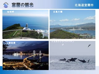 地球岬 白鳥大橋
工場夜景
イルカクジラウォッチン
グ
 
