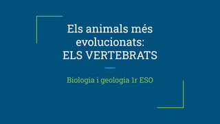 Els animals més
evolucionats:
ELS VERTEBRATS
Biologia i geologia 1r ESO
 