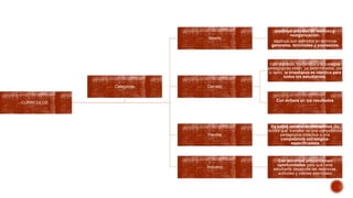 CURRICULOS
Abierto
continuo proceso de revisión y
reorganización.
objetivos son definidos en términos
generales, terminales y expresivos
Cerrado
Con objetivos, contenidos y estrategias
pedagógicas están ya determinados, por
lo tanto, la enseñanza es idéntica para
todos los estudiantes.
Con énfasis en los resultados
Flexible
Es sobre cambio de mentalidad. Se
tendrá que transitar de una competencia
pedagógica-didáctica a una
competencia estratégica-
especificadora
Inclusivo
Con docentes proporcionan
oportunidades para que cada
estudiante desarrolle las destrezas,
actitudes y valores esenciales
Categorias
 