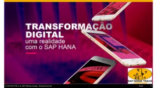 © 2016 SAP SE or an SAP affiliate company. All rights reserved. 5Public
Quem somos?
 