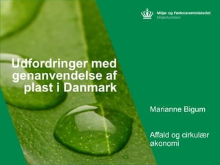 Marianne Bigum
Affald og cirkulær
økonomi
Udfordringer med
genanvendelse af
plast i Danmark
 