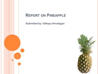 Report on Pineapple Submitted by: Udhaya Arivalagan 1 