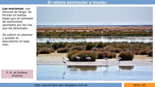El relieve peninsular e insular.
http://javier2pm-geo.blogspot.com.es tema_02
Las marismas: son
llanuras de fango. Se
forman en bahías
bajas que se colmatan
de sedimentos
aportados por los ríos
que las atraviesan.
Se cubren en pleamar
y quedan al
descubierto en baja
mar.
P. N. de Doñana.
(Huelva)
 