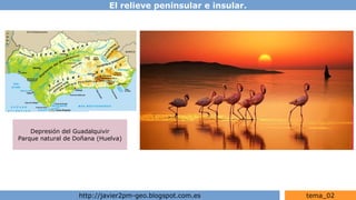 El relieve peninsular e insular.
http://javier2pm-geo.blogspot.com.es tema_02
Depresión del Guadalquivir
Parque natural de Doñana (Huelva)
 