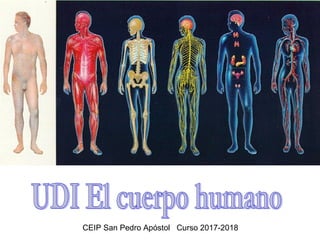 CEIP San Pedro Apóstol Curso 2017-2018
 