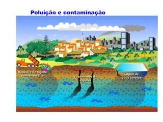 Poluição e contaminação
 