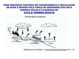 ESSE PROCESSO CONTÍNUO DE TRANSFERÊNCIA E RECICLAGEM
  DA ÁGUA É MOVIDO PELA FORÇA DA GRAVIDADE E/OU PELA
             ENERGIA SOLAR E É CHAMADO DE
              CICLO HIDROLÓGICO
 