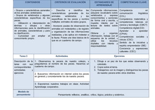 CONTENIDOS CRITERIOS DE EVALUACIÓN ESTÁNDARES DE
APRENDIZAJE
COMPETENCIAS CLAVE
- Grupos y características generales
de los animales vertebrados.
- Grupos de vertebrados y algunas
características especificas de los
peces.
- Utilización e interpretación de
láminas y dibujos y otras
informaciones para la identificación
de animales, características y para
su clasificación.
- Curiosidad por ampliar el
conocimiento propio.
- Describe e identifica las
características generales de los
animales vertebrados y las
específicas de los peces y nombra
múltiples animales de estos grupos.
- Incorpora pautas de observación de
animales sin molestarlos y de registro
y organización de las informaciones
realizadas, y las aplica sin molestar a
la fauna. Posee una idea básica de lo
que es un cuaderno de campo.
Comprende informaciones,
adquiere vocabulario sobre
vertebrados y expresa
conocimientos y opiniones
de forma oral y escrita, y
muestra interés por la
lectura de textos sobre
animales.
Obtiene y organiza
información, trabaja con el
esquema de la unidad, y
utiliza los recursos
digitales con interés y
responsabilidad.
Competencia en
comunicación lingüística
(CCL)
Competencia matemática y
competencias básicas en
ciencia y tecnología (CMCT)
Competencia digital (CD)
Aprender a aprender
(CPAA)
Competencias sociales y
cívicas (CSC)
Sentido de la iniciativa y
espíritu emprendedor (SIE)
Conciencia y expresiones
culturales (CEC)
Tarea 3 Actividades Ejercicios
Descripción de la
tarea con sus
correspondientes
actividades y
ejercicios
1. Observamos la pecera de nuestro colegio, y
preguntamos el nombre de los peces. Hacemos un
cuaderno de campo.
1. Dibuja a un pez de los que estas observando y
coloréalo.
2. Copia sobre el tema.
3. Trabajamos con la imagen y distinguimos los peces
de nuestra pecera entre otros distintos.2. Buscamos información en internet sobre los peces
en general y concretamente los de nuestra pecera.
3. Exponemos nuestros trabajos en clase. Actividad
Aprendizaje cooperativo.
Modelo de
pensamiento Pensamiento reflexivo, analítico, crítico, lógico, práctico y sistémico.
 