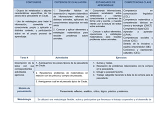 CONTENIDOS CRITERIOS DE EVALUACIÓN ESTÁNDARES DE
APRENDIZAJE
COMPETENCIAS CLAVE
- Grupos de vertebrados y algunas
características especificas de los
peces de la pescadería en Ceuta.
- Uso de estrategias para tratar la
información, convertirla en
conocimiento propio y aplicarla a
distintos contexto, y participación
activa en el propio proceso de
aprendizaje.
1. Desarrollar hábitos de
observación y registro sistemático
de informaciones referidas a
distintos animales, aplicando los
conocimientos adquiridos en esta
unida
2. Conocer y aplicar elementos y
estrategias matemáticos para
resolver problemas sobre
animales.
- Comprende informaciones,
adquiere vocabulario sobre
vertebrados y expresa
conocimientos y opiniones de
forma oral y escrita, y muestra
interés por la lectura de textos
sobre animales.
- Conoce y aplica elementos,
operaciones y estrategias
matemáticos para resolver
problemas sobre animales.
Competencia en
comunicación lingüística
(CCL)
Competencia matemática y
competencias básicas en
ciencia y tecnología (CMCT)
Competencia digital (CD)
Aprender a aprender
(CPAA)
Competencias sociales y
cívicas (CSC)
Sentido de la iniciativa y
espíritu emprendedor (SIE)
Conciencia y expresiones
culturales (CEC)
Tarea 4 Actividades Ejercicios
Descripción de la
tarea con sus
correspondientes
actividades y
ejercicios
1. Averiguamos los peces típicos de la pescadería
en Ceuta.
1. Sumas y restas.
2. Resolución de problemas relacionados con la compra
en la pescadería.
3. Dibuja tu pescado favorito.
4. Trabajo caligrafía haciendo la lista de la compra para la
pescadería.
2. Resolvemos problemas de matemáticas en
relación con los precios y compra de pescado.
3. Averiguamos cuál es el pescado típico de Ceuta.
Modelo de
pensamiento Pensamiento reflexivo, analítico, crítico, lógico, práctico y sistémico.
Metodología Se utilizará una metodología flexible, activa y participativa que favorezca el trabajo cooperativo y el desarrollo de
 