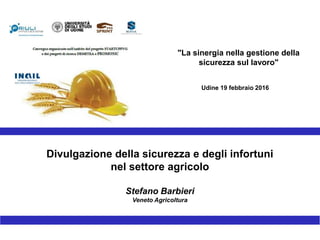 Divulgazione della sicurezza e degli infortuni
nel settore agricolo
Stefano Barbieri
Veneto Agricoltura
"La sinergia nella gestione della
sicurezza sul lavoro"
Udine 19 febbraio 2016
 