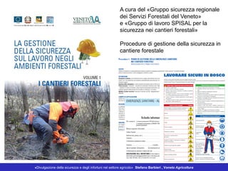 «Divulgazione della sicurezza e degli infortuni nel settore agricolo» Stefano Barbieri , Veneto Agricoltura
A cura del «Gruppo sicurezza regionale
dei Servizi Forestali del Veneto»
e «Gruppo di lavoro SPISAL per la
sicurezza nei cantieri forestali»
Procedure di gestione della sicurezza in
cantiere forestale
 