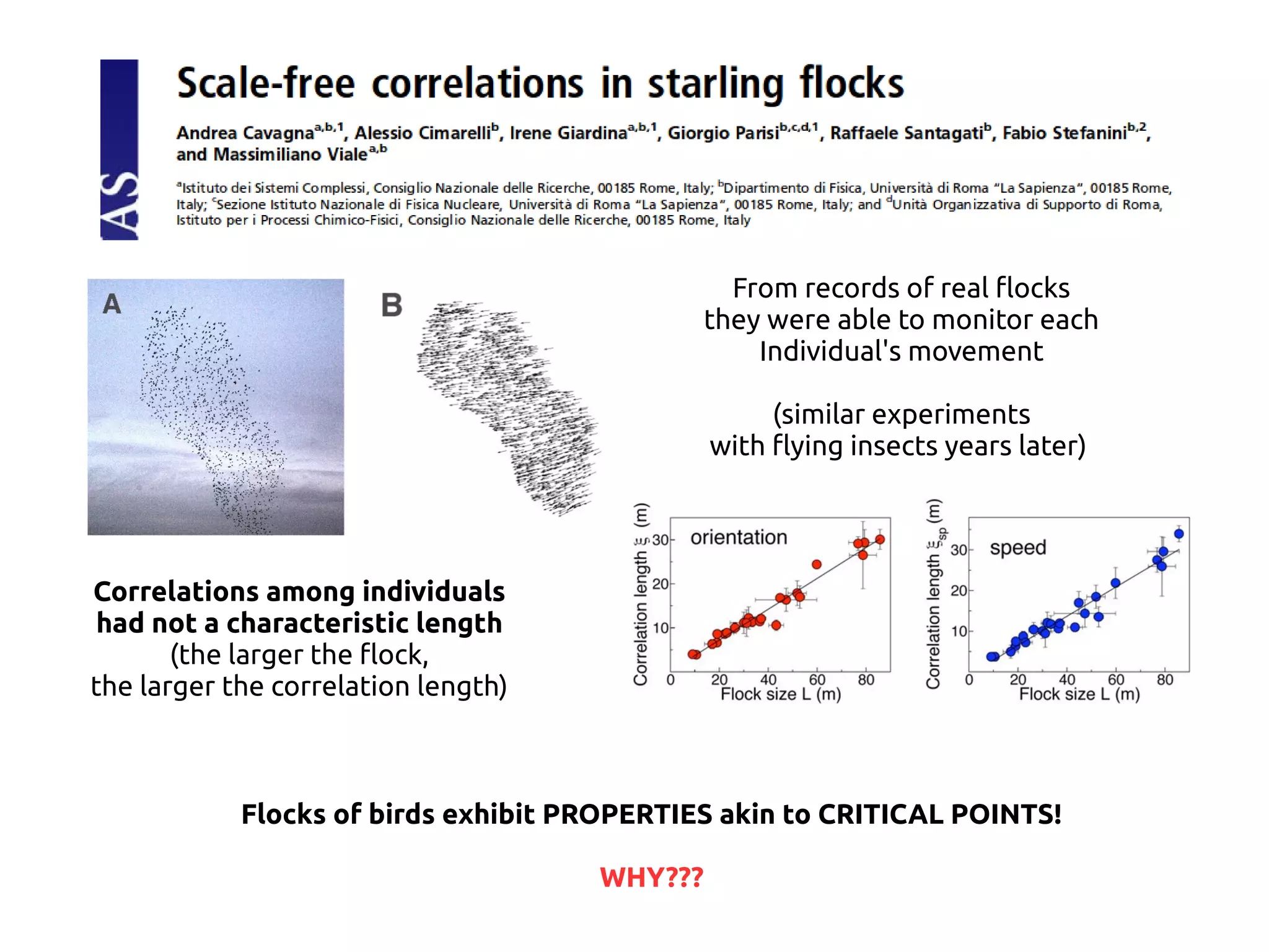 Flocks of birds exhibit PROPERTIES akin to CRITICAL POINTS!
WHY???
Correlations among individuals
had not a characteristic length
(the larger the @ock,
the larger the correlation length)
From records of real @ocks
they were able to monitor each
Individual's movement
(similar experiments
with @ying insects years later)
 
