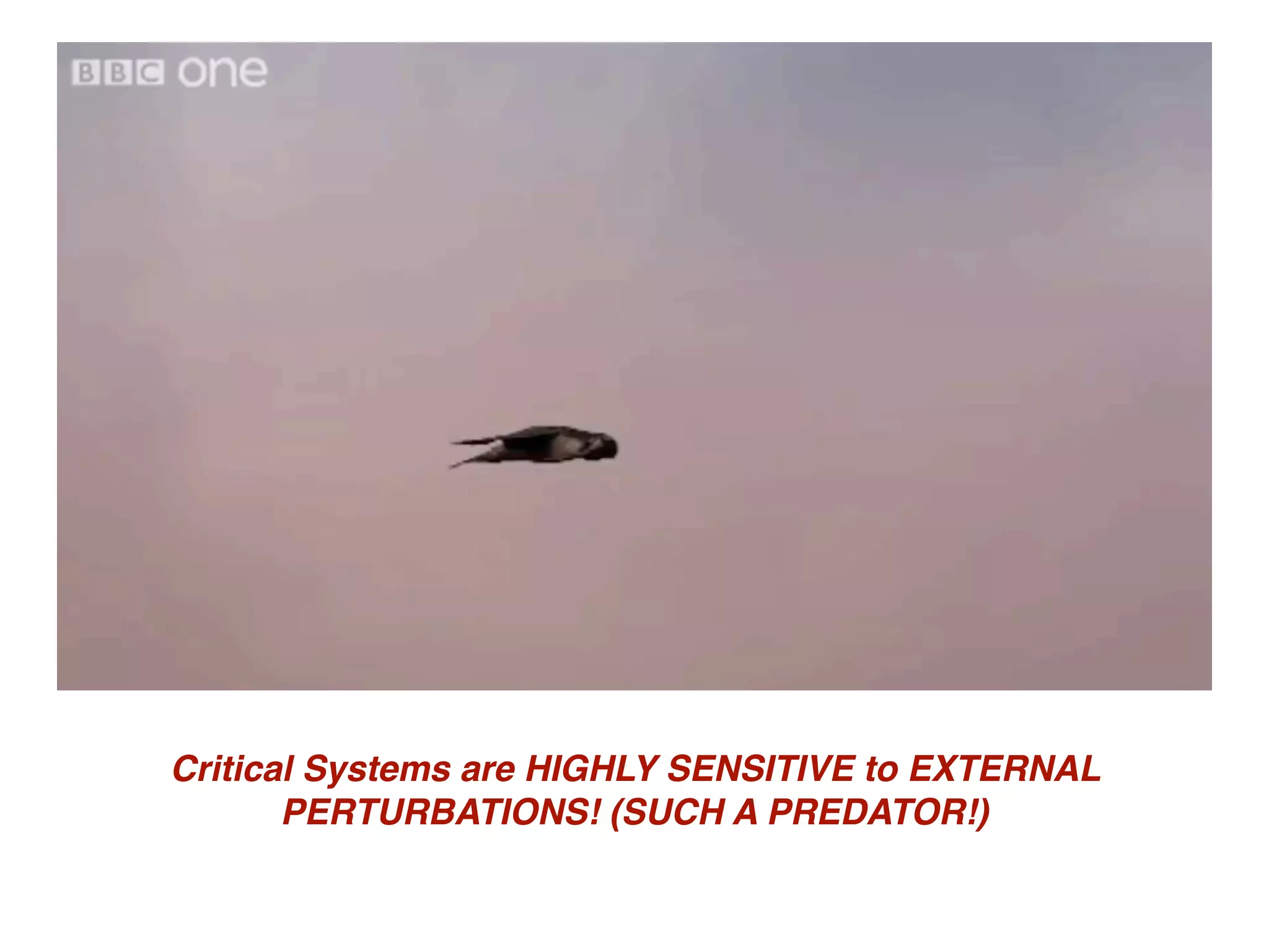 Critical Systems are HIGHLY SENSITIVE to EXTERNAL
PERTURBATIONS! (SUCH A PREDATOR!)
 