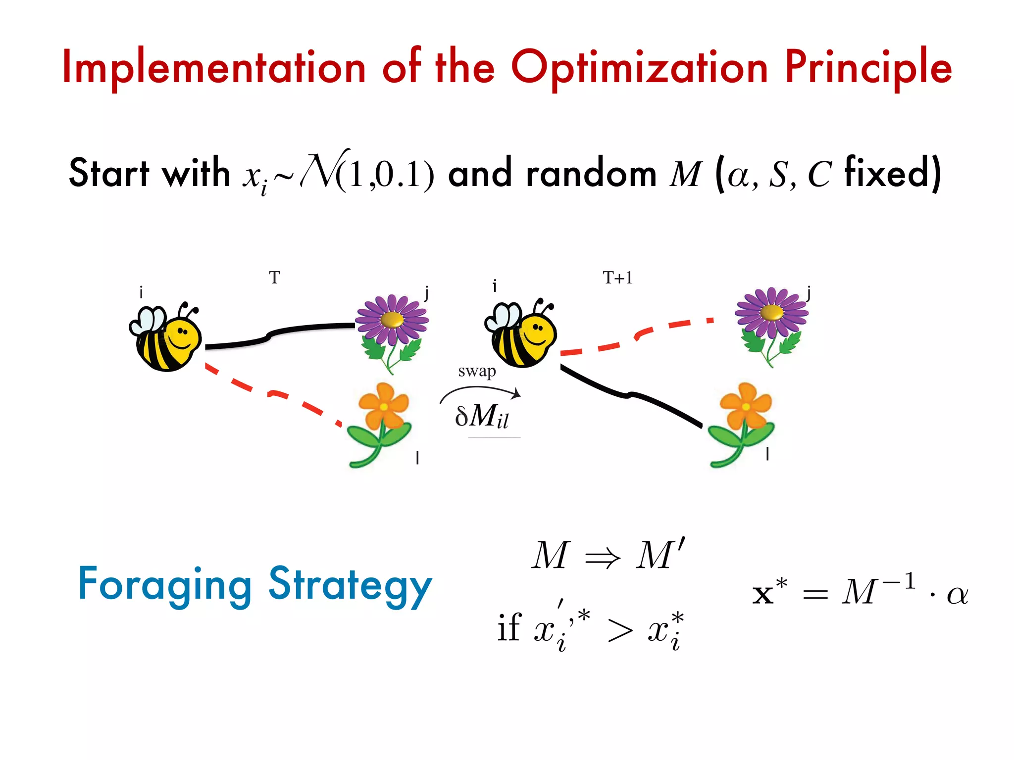 Implementation of the Optimization Principle 
T T+1
i j
l
k j
l
swap
δWil
Start with xi ~N(1,0.1) and random M (α, S, C fixed)
Foraging Strategy
i
Mil
M ) M0
if x
0
,⇤
i > x⇤
i
x⇤
= M 1
· ↵
 