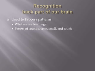    Used to Process patterns
       What are we learning?
       Patters of sounds, taste, smell, and touch
 