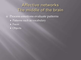    Process emotions evaluate patterns
       Patterns such as vocabulary
       Faces
       Objects
 