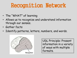 Recognition Network
• The “WHAT” of learning
• Allows us to recognize and understand information
through our senses.
• Gather facts
• Identify patterns, letters, numbers, and words.
UDL Principle: Present
information in a variety
of ways with multiple
formats.
 