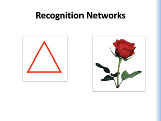 Recognition Networks
 