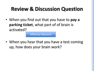 Review & Discussion Question
• When you find out that you have to pay a
  parking ticket, what part of of brain is
  activated?
             Affective Network

• When you hear that you have a test coming
  up, how does your brain work?
 