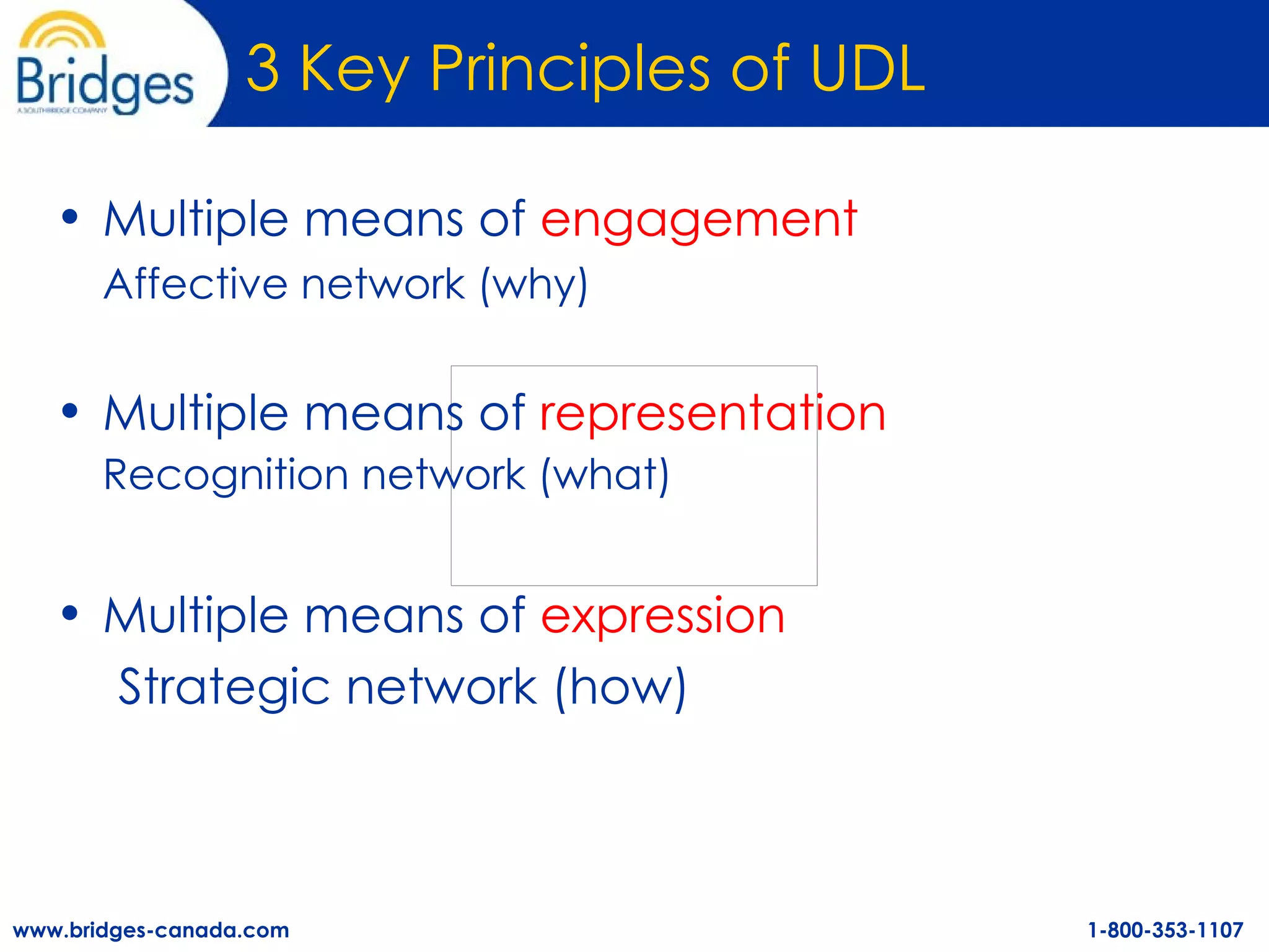 3 Key Principles of UDL Multiple means of  engagement   Affective network (why) Multiple means of  representation   Recognition network (what)   Multiple means of  expression   Strategic network (how)  
