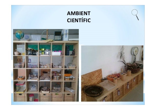 Resultado de imagen de ambient cientific