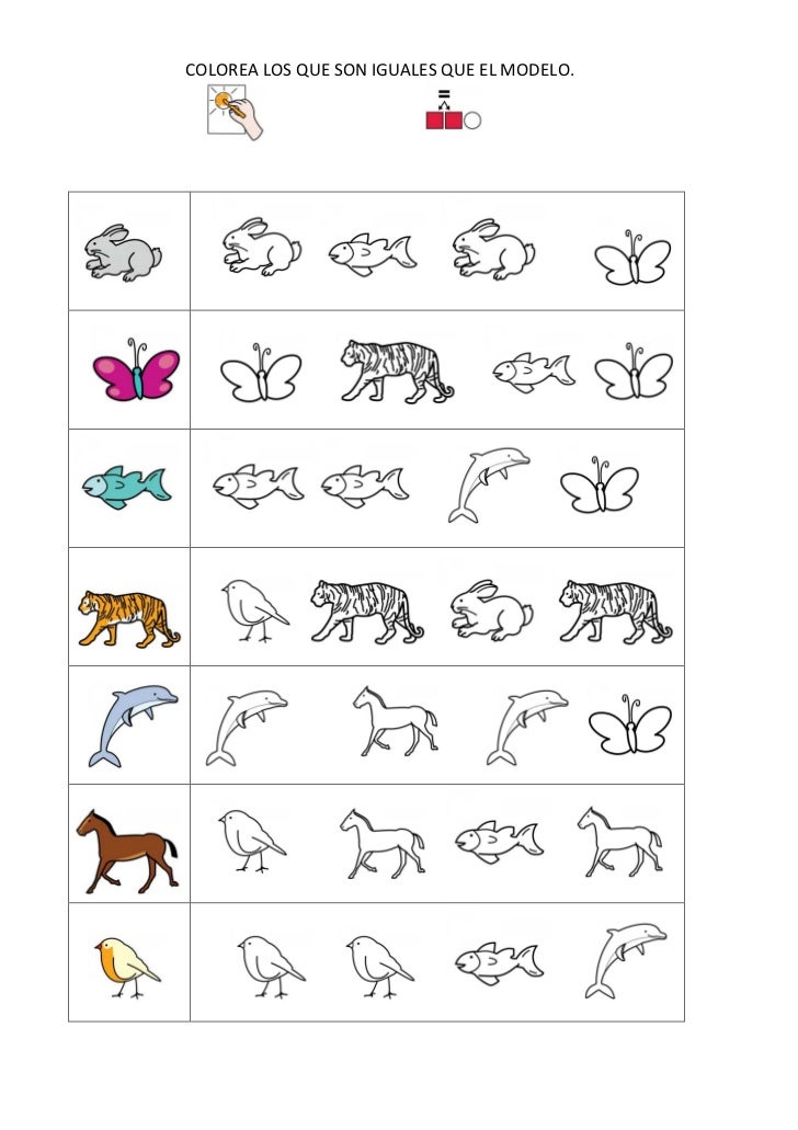 Ud los animales
