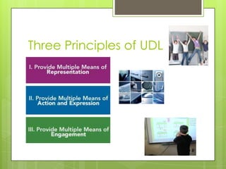 Three Principles of UDL
 