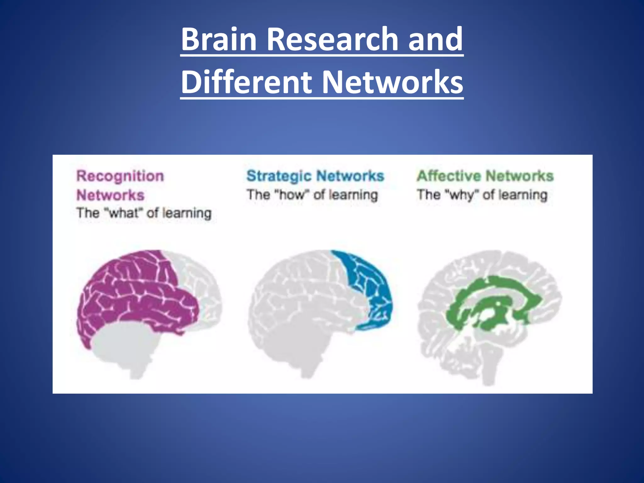 Brain Research and
Different Networks
 