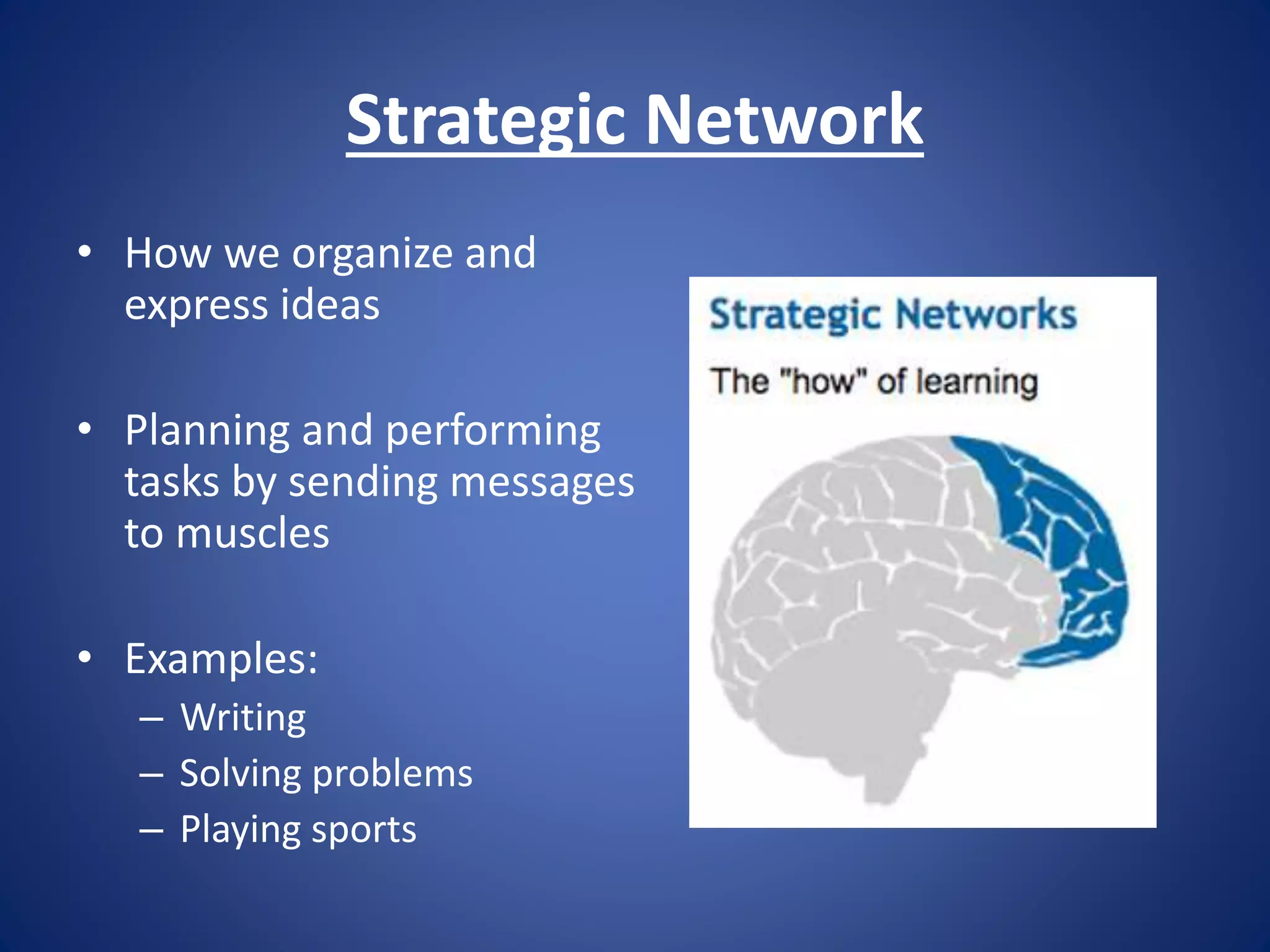 Strategic Network
• How we organize and
express ideas
• Planning and performing
tasks by sending messages
to muscles
• Examples:
– Writing
– Solving problems
– Playing sports
 