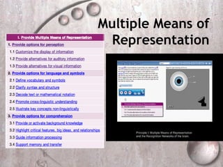 Multiple Means of
  Representation
 