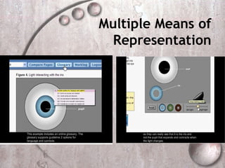 Multiple Means of
  Representation
 
