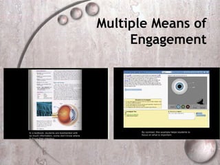 Multiple Means of
     Engagement
 