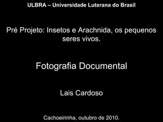 ULBRA – Universidade Luterana do Brasil
Pré Projeto: Insetos e Arachnida, os pequenos
seres vivos.
Fotografia Documental
Lais Cardoso
Cachoeirinha, outubro de 2010.
 