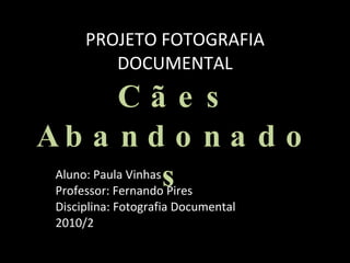 PROJETO FOTOGRAFIA DOCUMENTAL Cães Abandonados Aluno: Paula Vinhas Professor: Fernando Pires Disciplina: Fotografia Documental 2010/2 