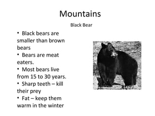 Mountains Black Bear ,[object Object],[object Object],[object Object],[object Object],[object Object]