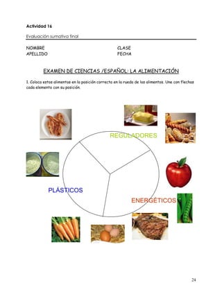 24
REGULADORES
ENERGÉTICOS
PLÁSTICOS
 