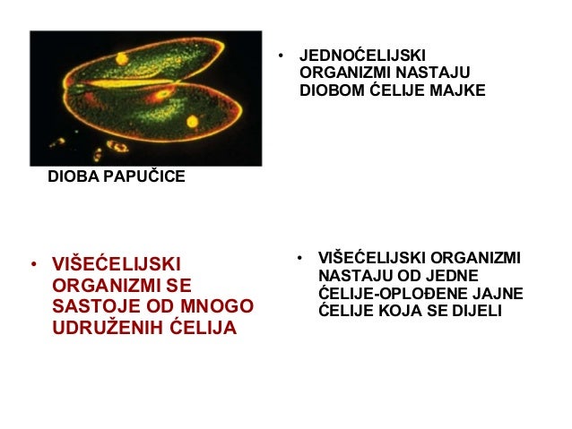 Udruzivanje celija