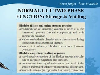 NORMAL LUT TWO-PHASE
FUNCTION: Storage & Voiding
 