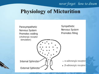Physiology of Micturition
 