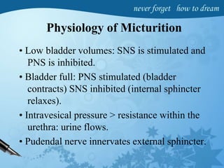 Physiology of Micturition
• Low bladder volumes: SNS is stimulated and
PNS is inhibited.
• Bladder full: PNS stimulated (bladder
contracts) SNS inhibited (internal sphincter
relaxes).
• Intravesical pressure > resistance within the
urethra: urine flows.
• Pudendal nerve innervates external sphincter.
 
