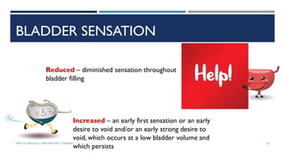BLADDER SENSATION
Increased – an early first sensation or an early
desire to void and/or an early strong desire to
void, which occurs at a low bladder volume and
which persists
Reduced – diminished sensation throughout
bladder filling
52
DEPT OF UROLOGY, GRH AND KMC, CHENNAI.
 